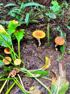 d85c8d4c-b93d-496c-9ee3-7f0b3240a792