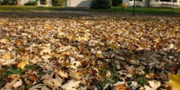 Preparing Your Oakland County Home For The Fall &hellip;