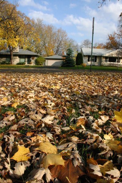 Oakland County Fall Homes