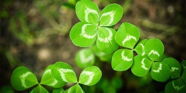 Home Buyers-Don’t Let Your “Luck” Run Out