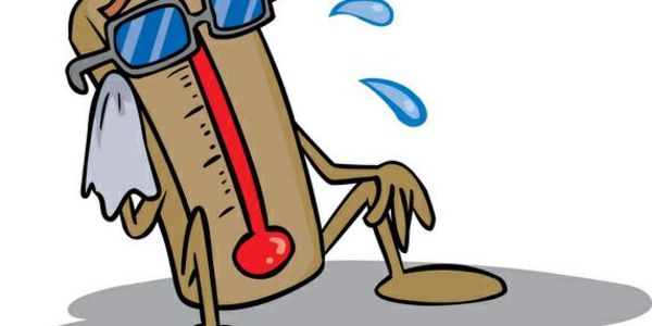 Maximize Summertime Farmington Hills House Showings