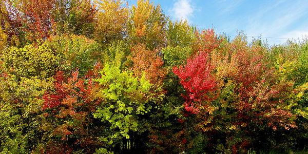 Don’t Fall For This Real Estate Myth