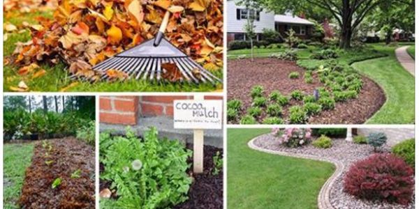 Landscaping Tweaks Now’s the Time