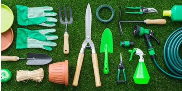 Garden Tip(s)10 Most Wanted This Spring-Realtor Tom Gilliam
