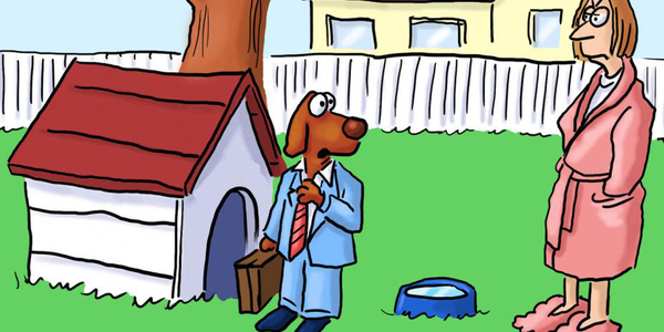 Home Inspection – Preparing Yourself for the Surprises