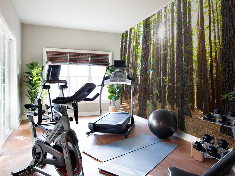 What is Motivating Americans to Move and Buy Homes Right Now?  