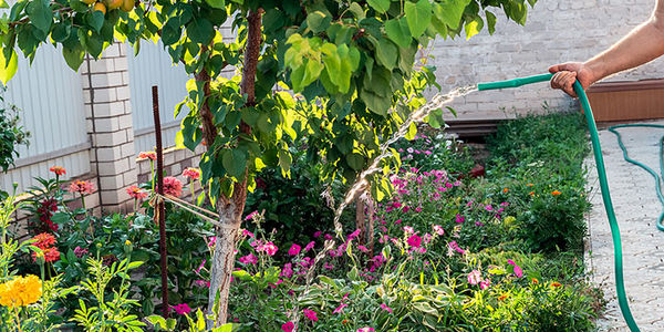 These Tips to Keep Your Garden Alive While &hellip;