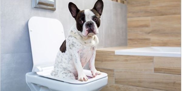 Smells Homebuyers Hate & Home Sellers Hate to &hellip;