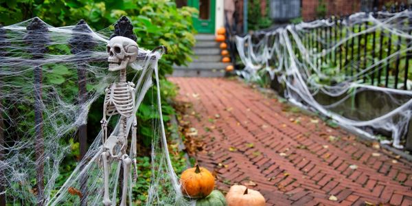 Halloween Decor Tips For Homeowners