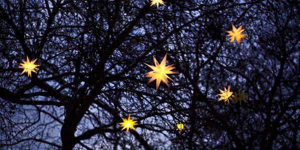 Experience Festive Magic in Novi, Michigan: Holiday Events &hellip;