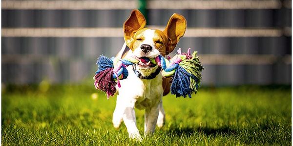 Earn Up to $3,000 per Month by Renting &hellip;