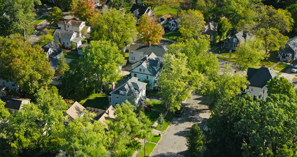 image shows an aerial view of a neighborhood in Chelsea, Michigan, characterized by houses nestled among lush trees, with a mix of residential and natural elements