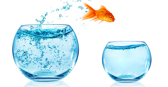 Goldfish jumping from a large bowl to a smaller bowl symbolizing downsizing your home in Farmington Hills