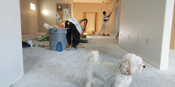 Should You Renovate or List? Tips for Oakland &hellip;