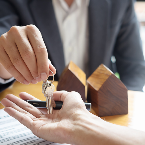 Who Is the Best Realtor to Work With in Novi?