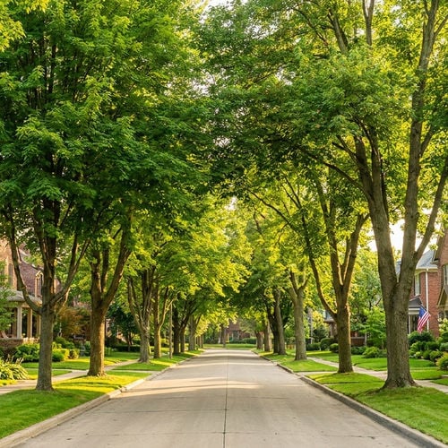 How to Dispute an Appraisal in Oakland County, Michigan 2026 | Tom Gilliam RE/MAX Classic