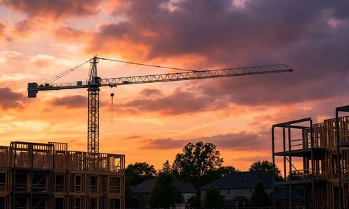 Cranes Are Back in Farmington Hills — Here's &hellip;