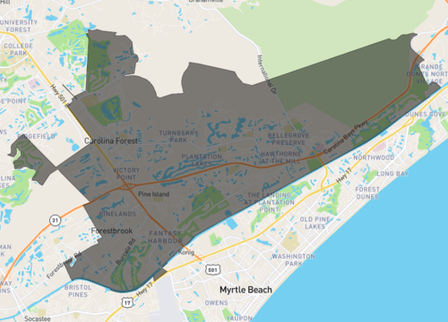 carolina forest 1.png