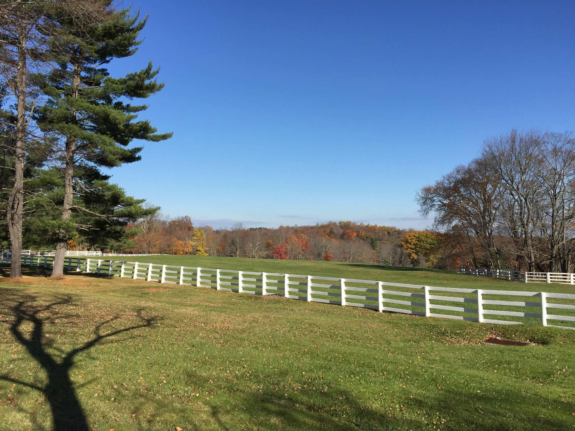 Equestrian Properties