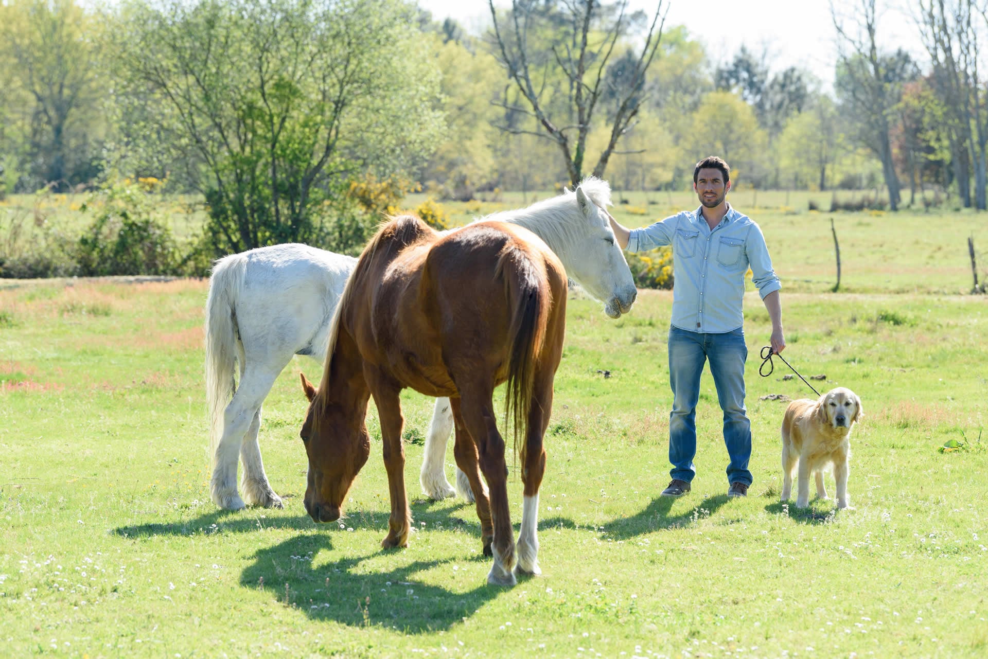 Farms And Ranches