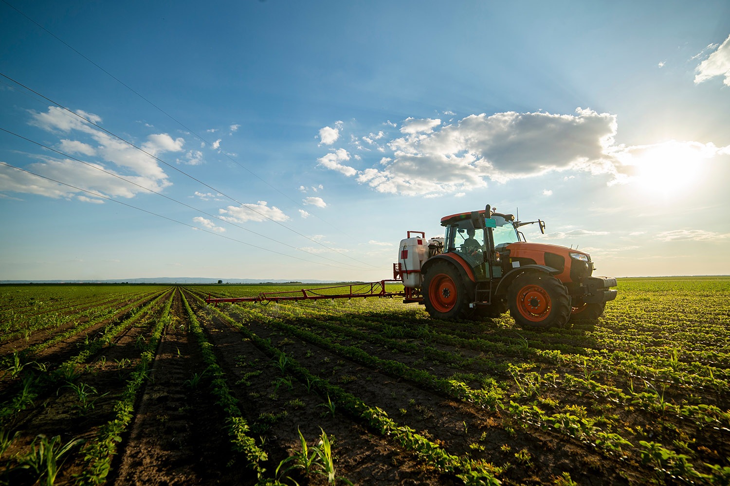 Tractor,Spraying,Pesticides,At,Soy,Bean,Fields