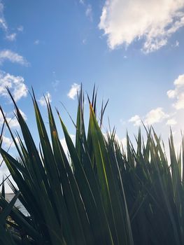 Processed with VSCO with a5 preset