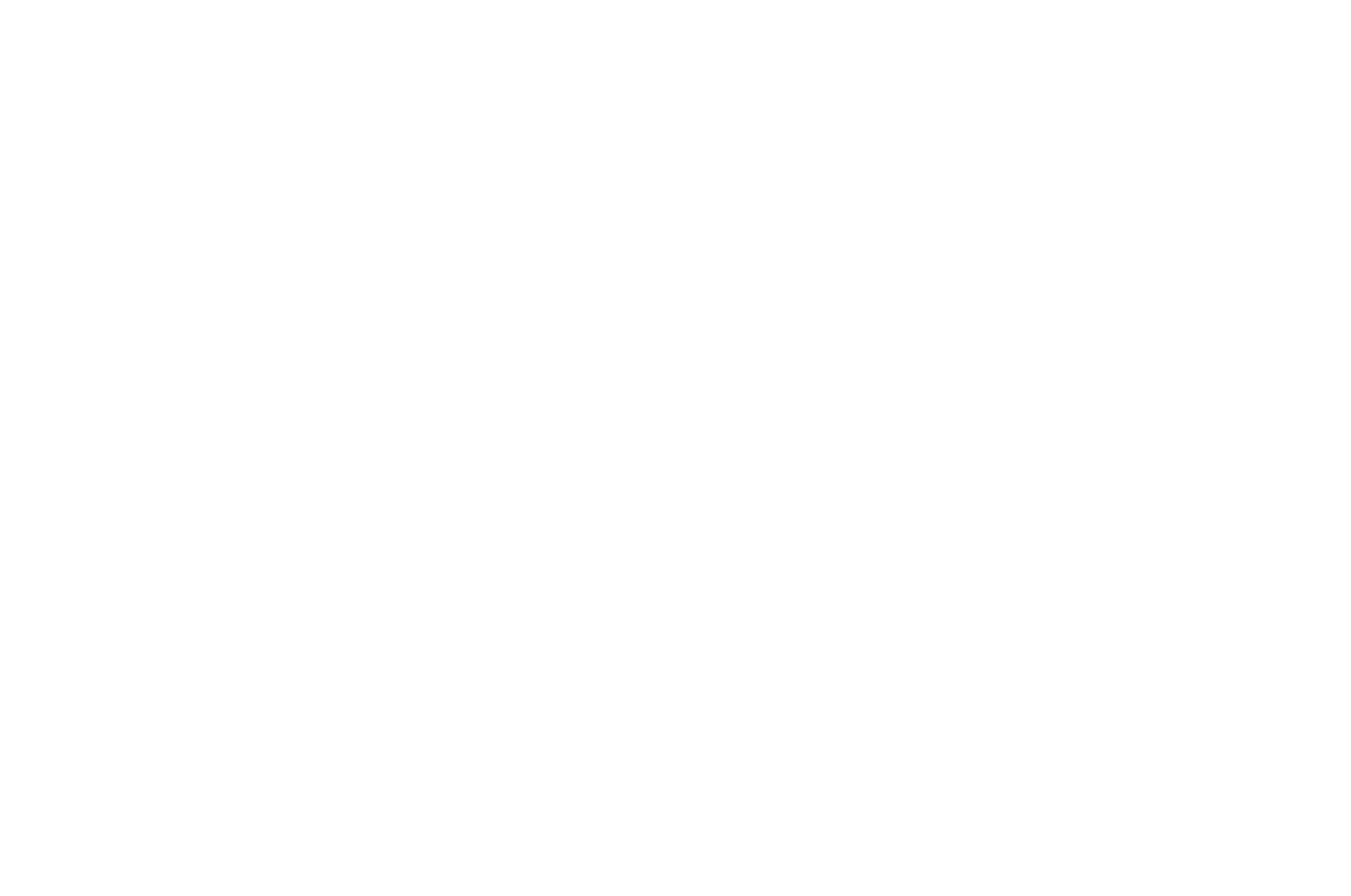 IO_Primary IOCRE Logo_White