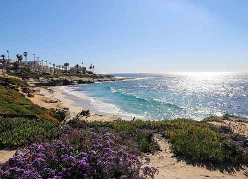 areas placeholder (3)