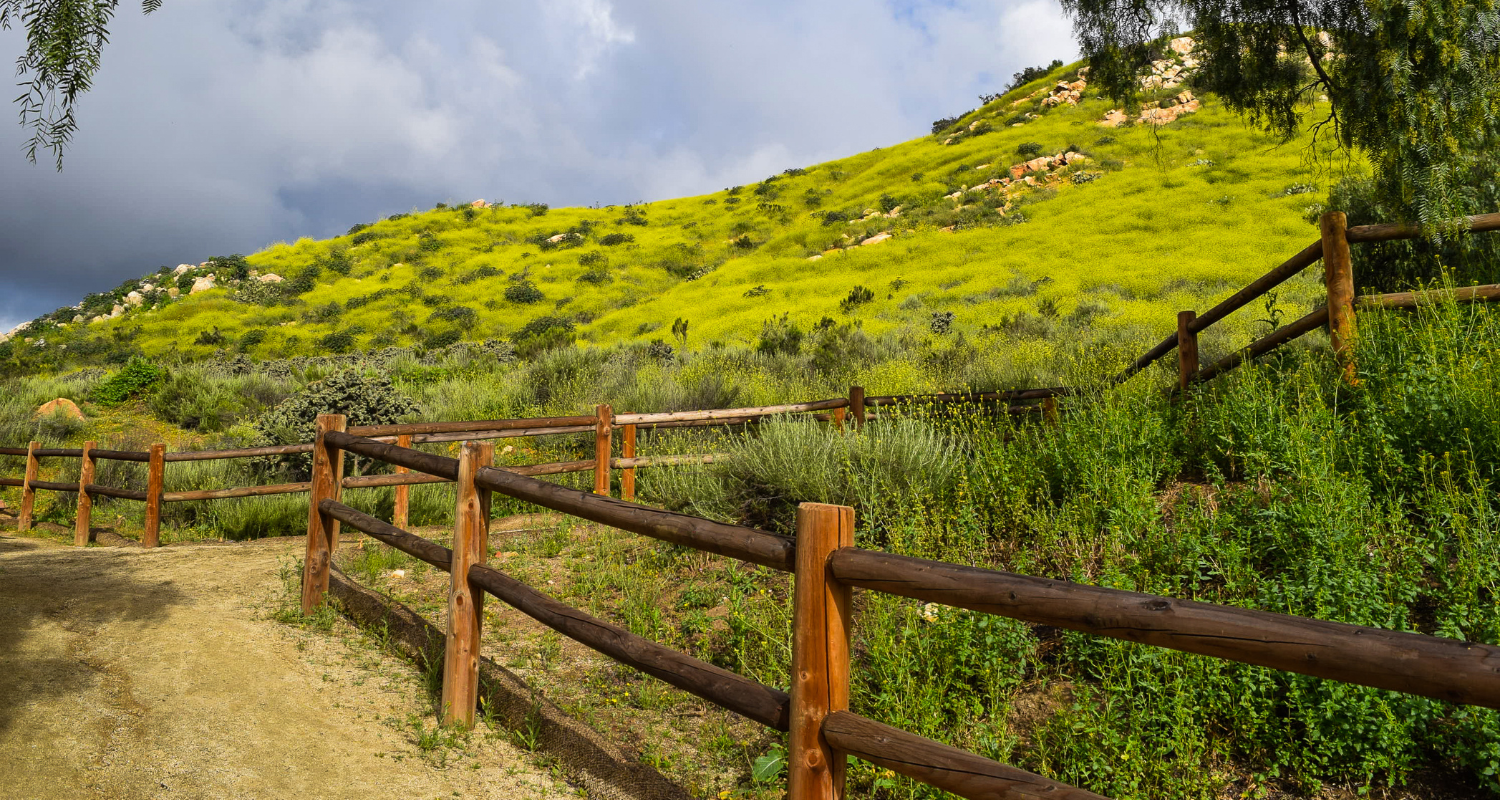 Blog Photo- Santee