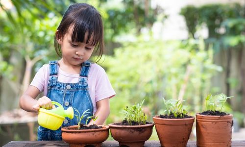 Home Garden Trends: Styles, Containers, Smart Watering, and &hellip;