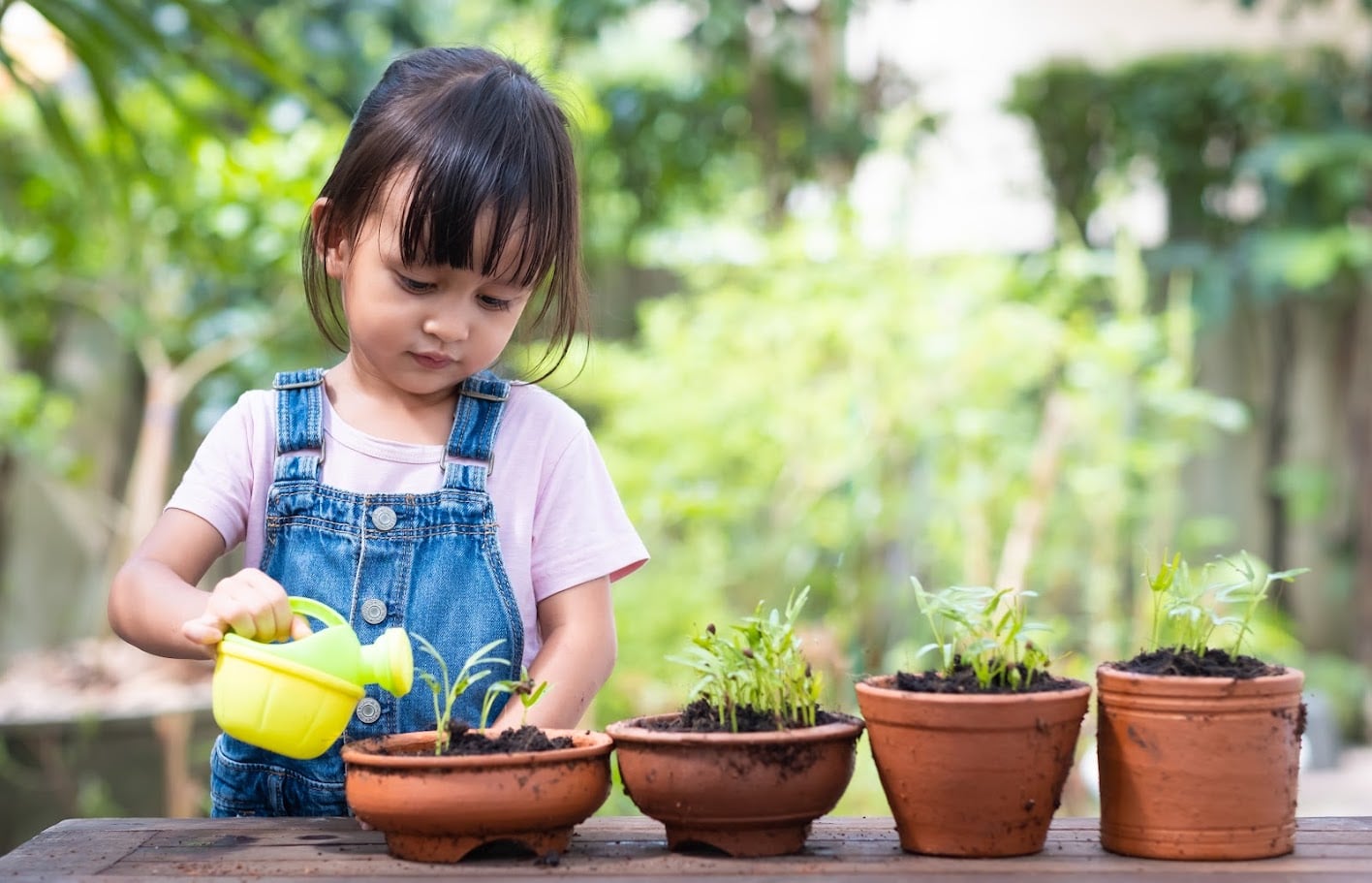 Home Garden Trends: Styles, Containers, Smart Watering, and &hellip;