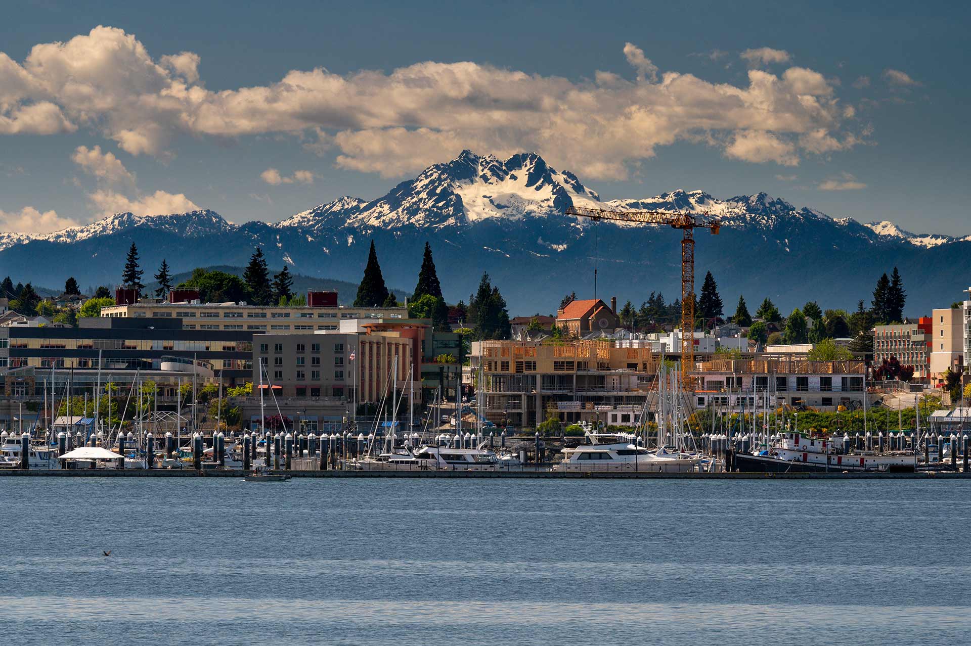 Seattle area photo 6