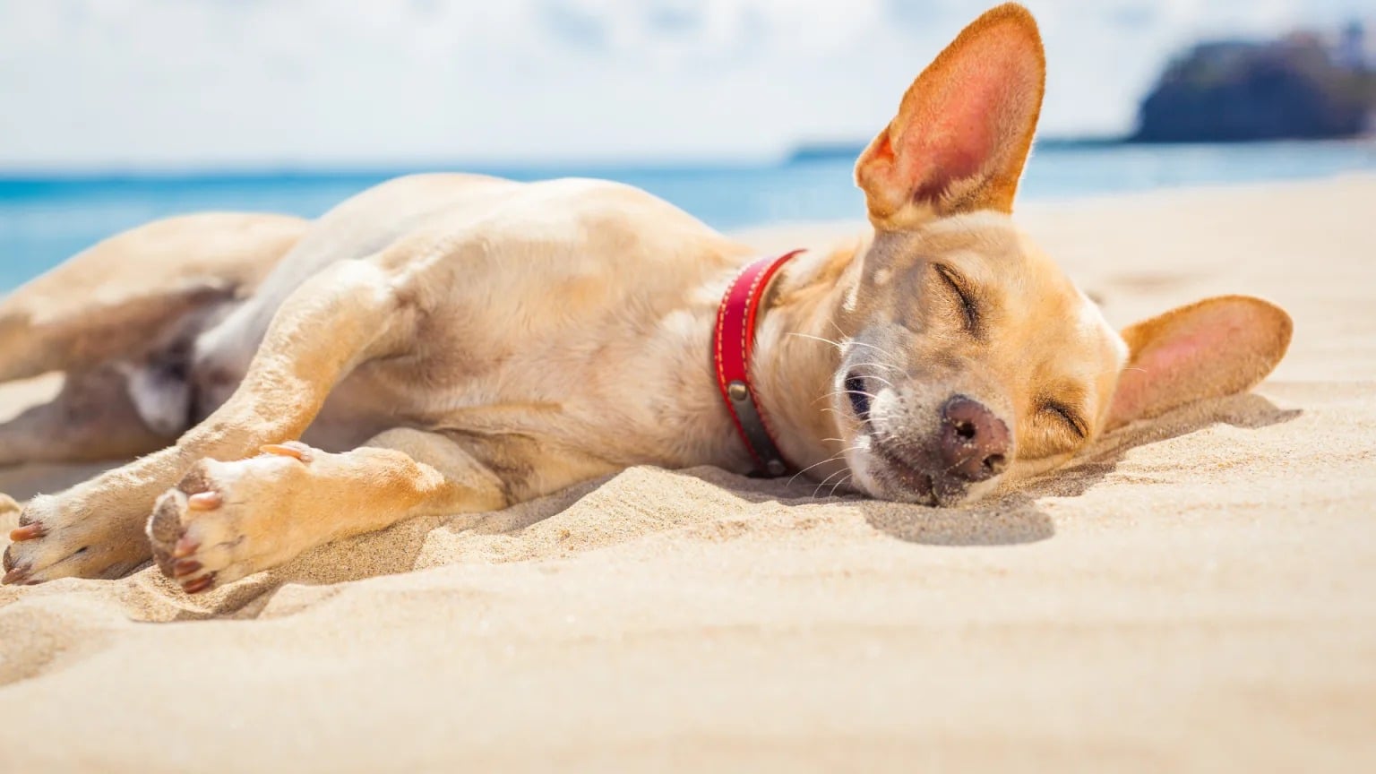 ·-Induction-Cooktops-with-Smart (3)