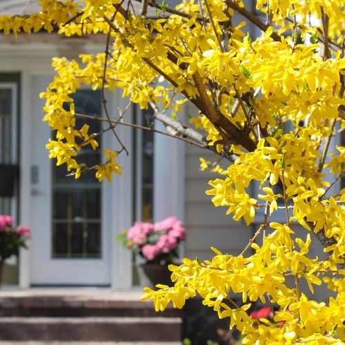 Stratford Real Estate Prices, Everything You Need to Know: 2nd Quarter Review 2024