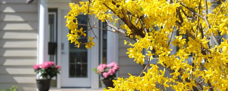 Stratford Real Estate Prices, Everything You Need to &hellip;