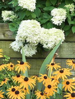 164 Queen Street East (38)