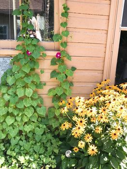 164 Queen Street East (39)