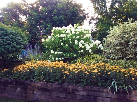 164 Queen Street East (43)