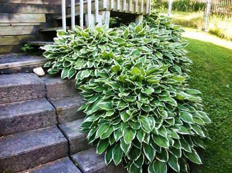 164 Queen Street East (44)