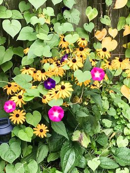 164 Queen Street East (49)