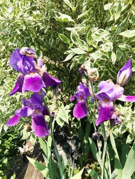 164 Queen Street East (51)