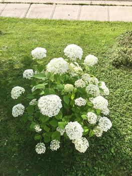 164 Queen Street East (54)