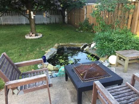 21 Layton Street (32)