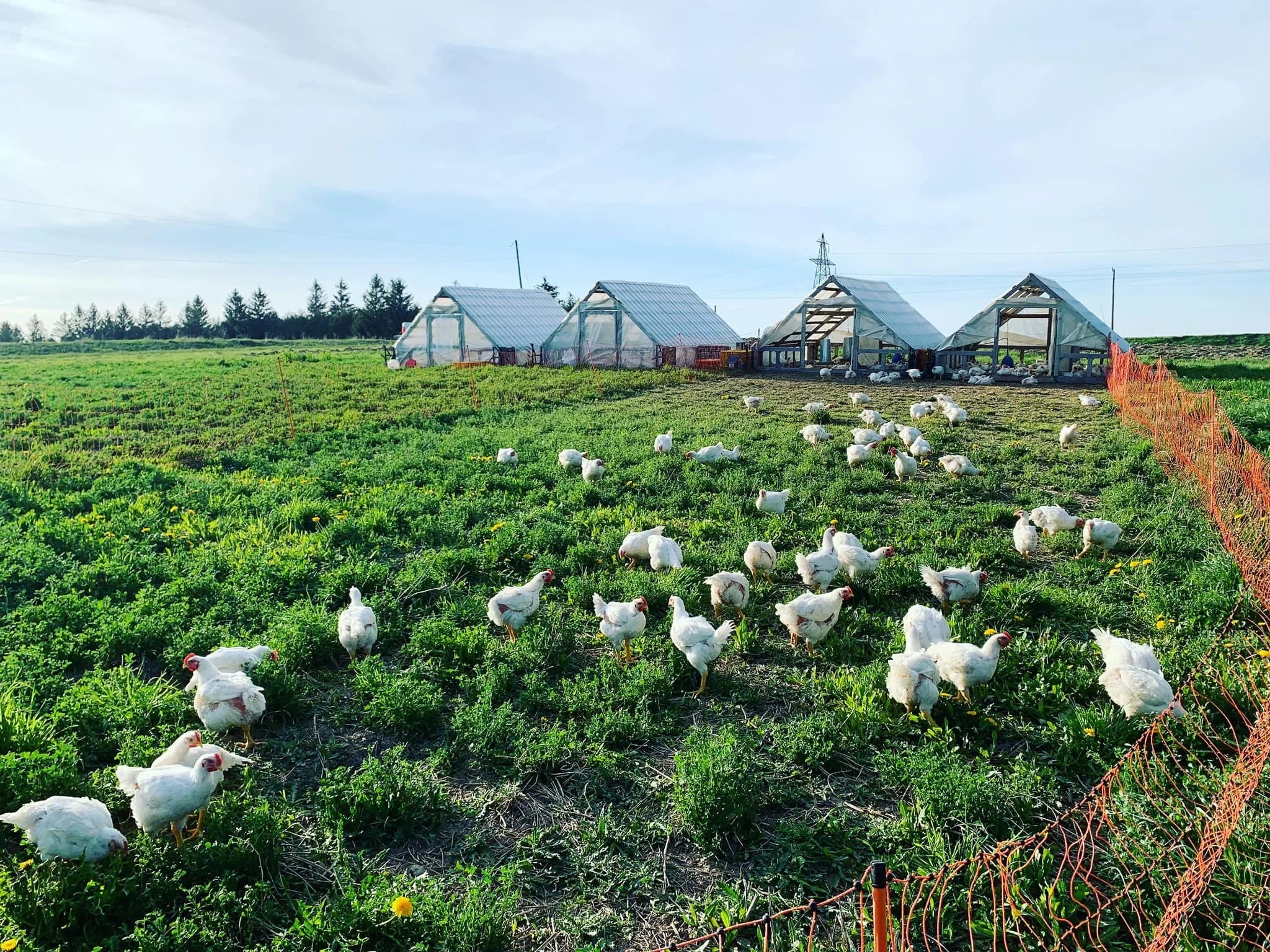 281741299_5251888901499870_18861