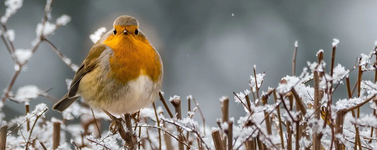 KW Region Real Estate Prices, Everything You Need &hellip;