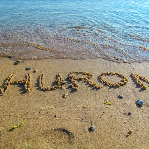 Lake Huron: Ontario’s Muskoka Alternative