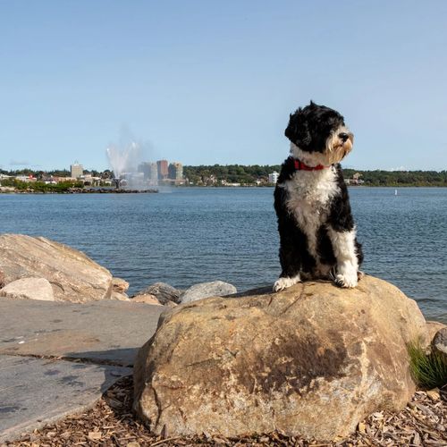 Lake Simcoe Waterfront Update: 1st & 2nd Quarter Review 2024