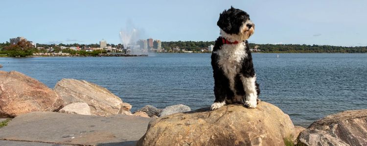 Lake Simcoe Waterfront Update: 1st & 2nd Quarter &hellip;