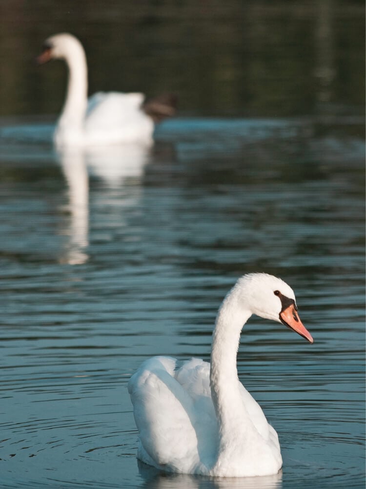 EXPLORE-STRATFORD-PHOTO