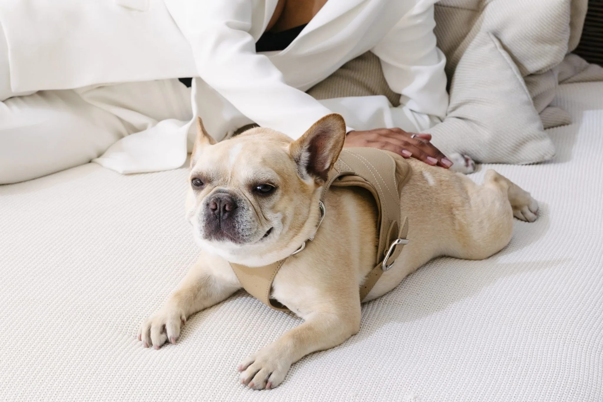 MandyMaddenKelley-1015-scaled-1